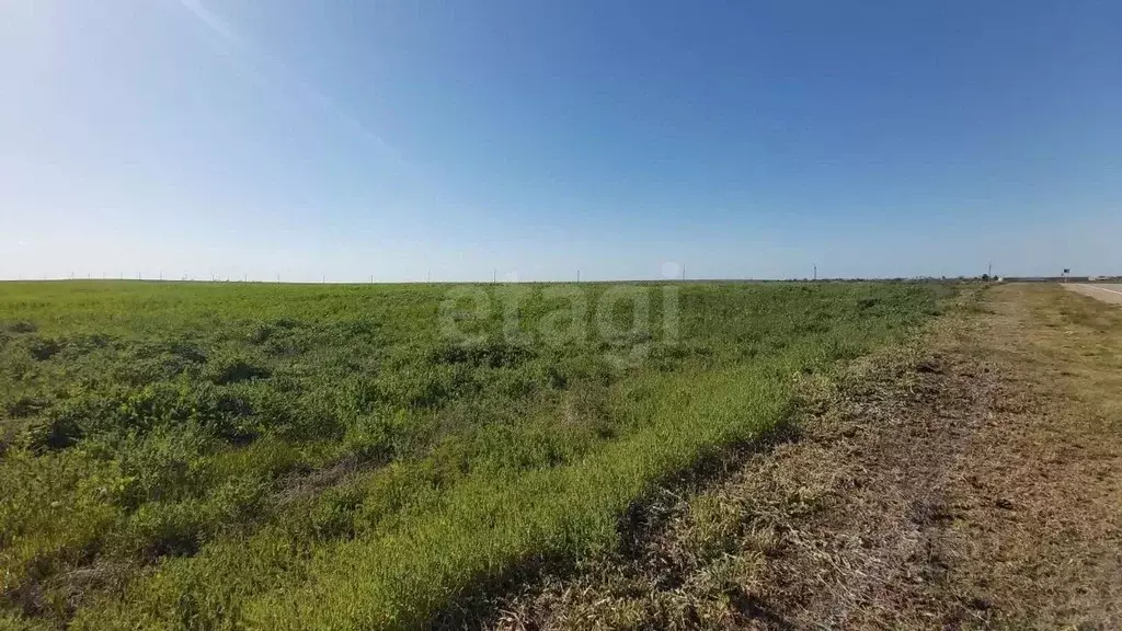 Участок в Крым, Ленинский район, с. Семисотка ул. Закияна (849.1 сот.) - Фото 1
