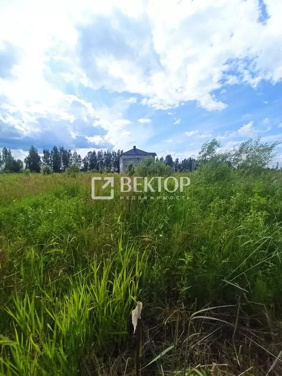 Участок в Кострома, коттеджный посёлок Первый, Судиславский проезд, 1 ... - Фото 2