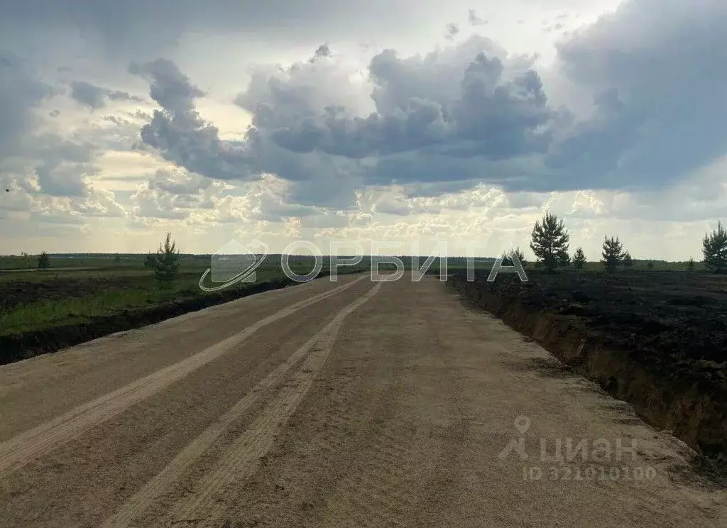 Участок в Тюменская область, Тюменский район, д. Елань 14 (11.75 сот.) - Фото 0