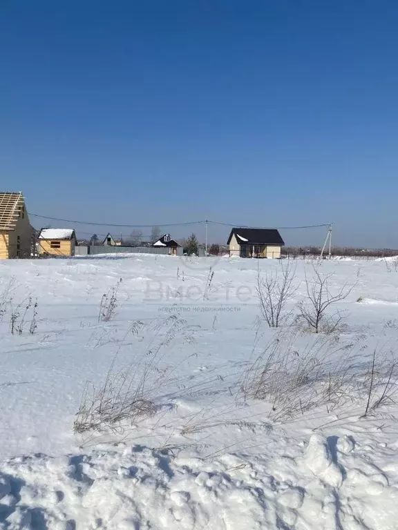 Участок в Новосибирская область, Новосибирский район, Кубовинский ... - Фото 0