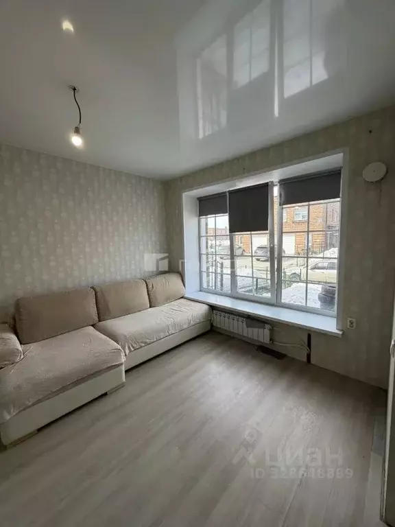 Студия Новосибирская область, Новосибирский район, Мичуринский ... - Фото 1