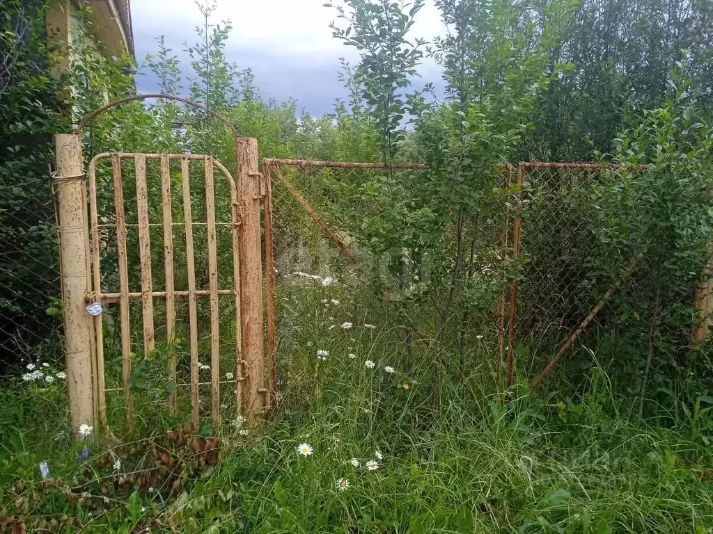 Дом в Башкортостан, Уфимский район, Авдонский сельсовет, Рябинушка СНТ ... - Фото 1