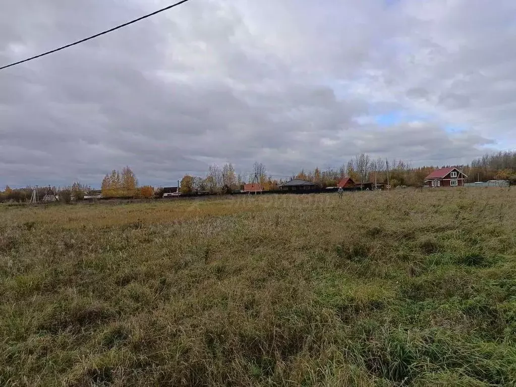 Участок в Новгородская область, Новгородский район, Ракомское с/пос, ... - Фото 1
