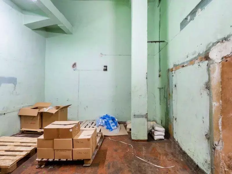 Производственное помещение в Санкт-Петербург Промышленная ул., 5 (436 ... - Фото 1