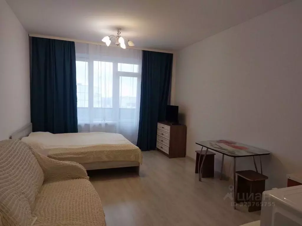 Студия Псковская область, Псковский район, Завеличенская волость, д. ... - Фото 2