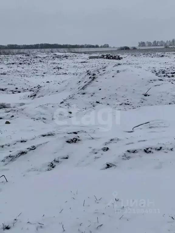 Участок в Белгородская область, Белгородский район, Головинское с/пос, ... - Фото 1