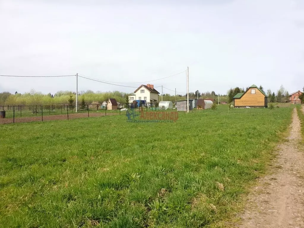 Участок в Ленинградская область, Волосовский район, Большеврудское ... - Фото 1