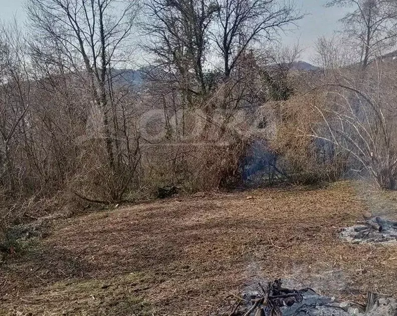 Участок в Краснодарский край, Сочи городской округ, с. Вардане-Верино, ... - Фото 1