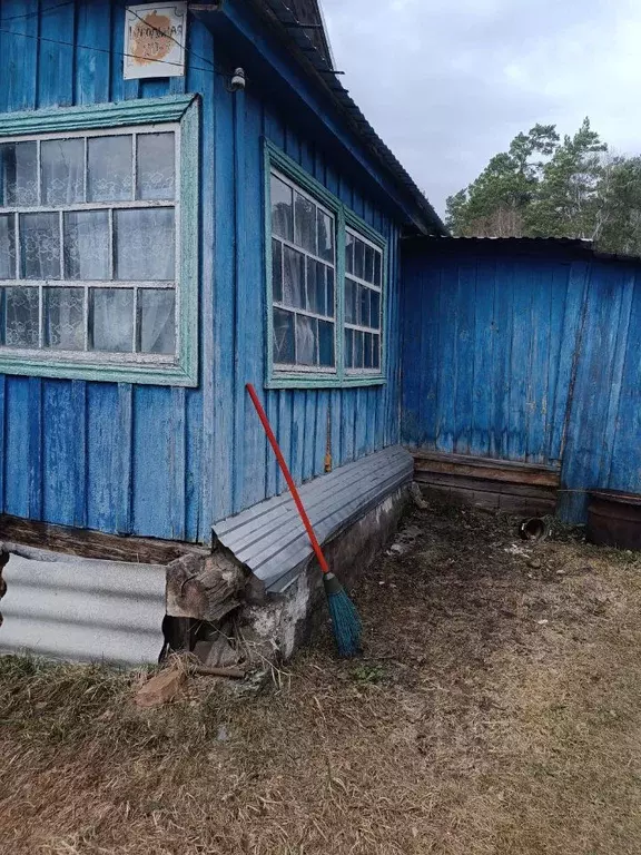 Дом в Алтайский край, Барнаул городской округ, пос. Черницк ул. ... - Фото 2