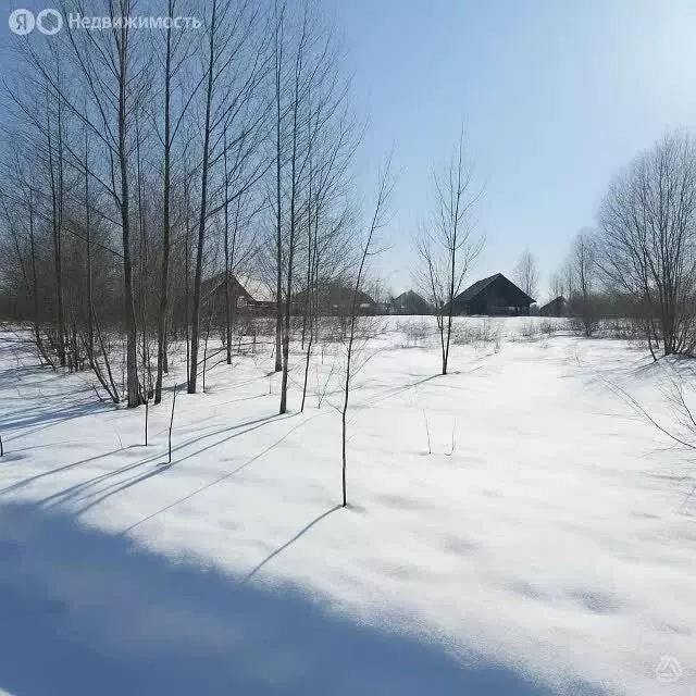 Участок в муниципальное образование Киров, деревня Шустовы, Бобровая ... - Фото 2