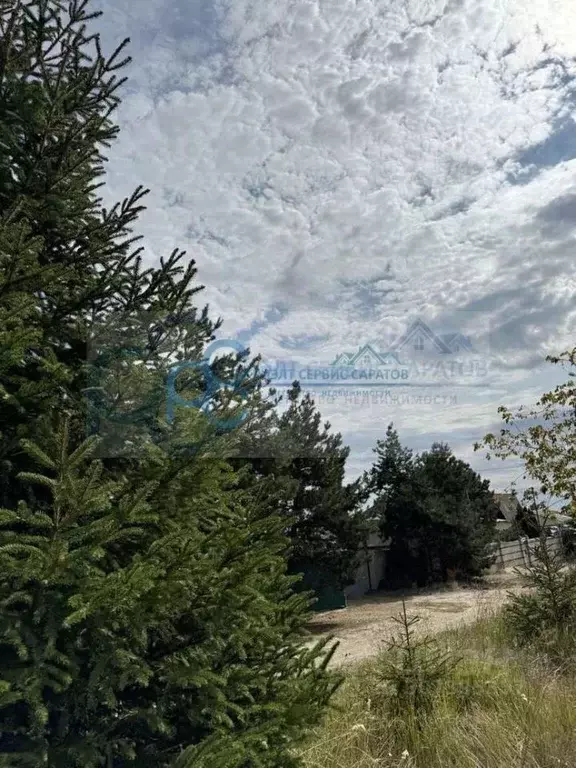 Участок в Саратовская область, с. Багаевка ул. Песочная (20.0 сот.) - Фото 1