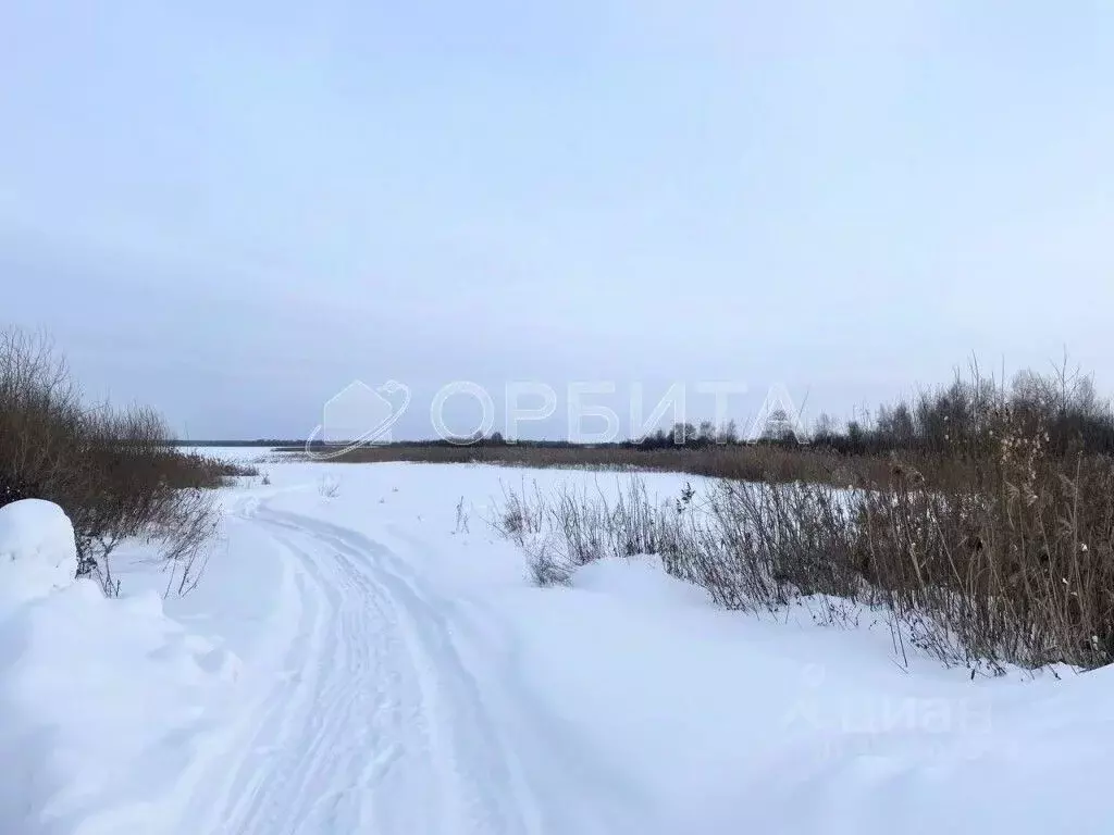 Участок в Тюменская область, Тюменский муниципальный округ, Боровский ... - Фото 2