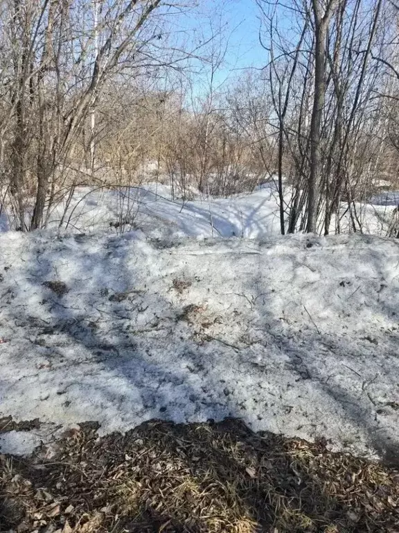 Участок в Хабаровский край, Хабаровский район, Тополевское с/пос, ... - Фото 1