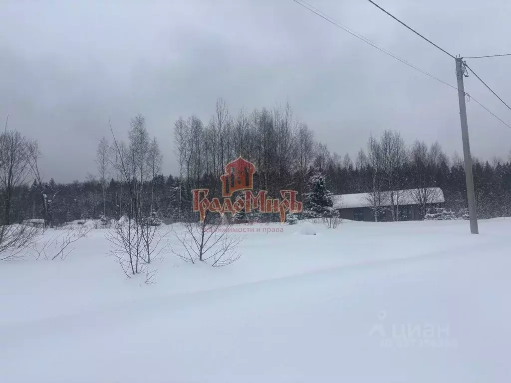 Участок в Московская область, Пушкинский городской округ, д. Жилкино  ... - Фото 1