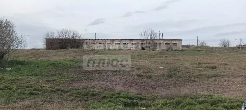Помещение свободного назначения в Крым, Симферопольский район, ... - Фото 1