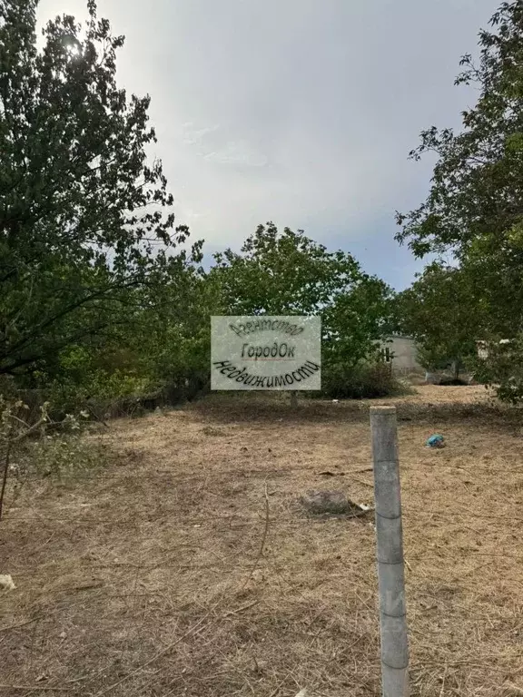 Участок в Крым, Сакский район, Ореховское с/пос, Труд СПК ул. 2-я ... - Фото 1