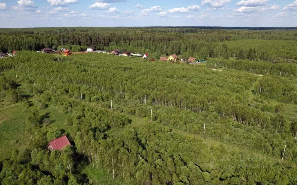 Участок в Московская область, Можайский городской округ, Лесные ... - Фото 1