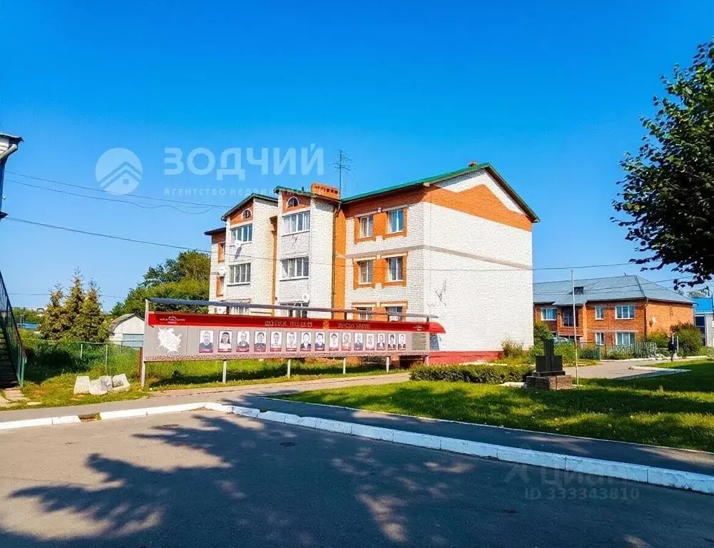Помещение свободного назначения в Чувашия, с. Красноармейское ул. ... - Фото 1