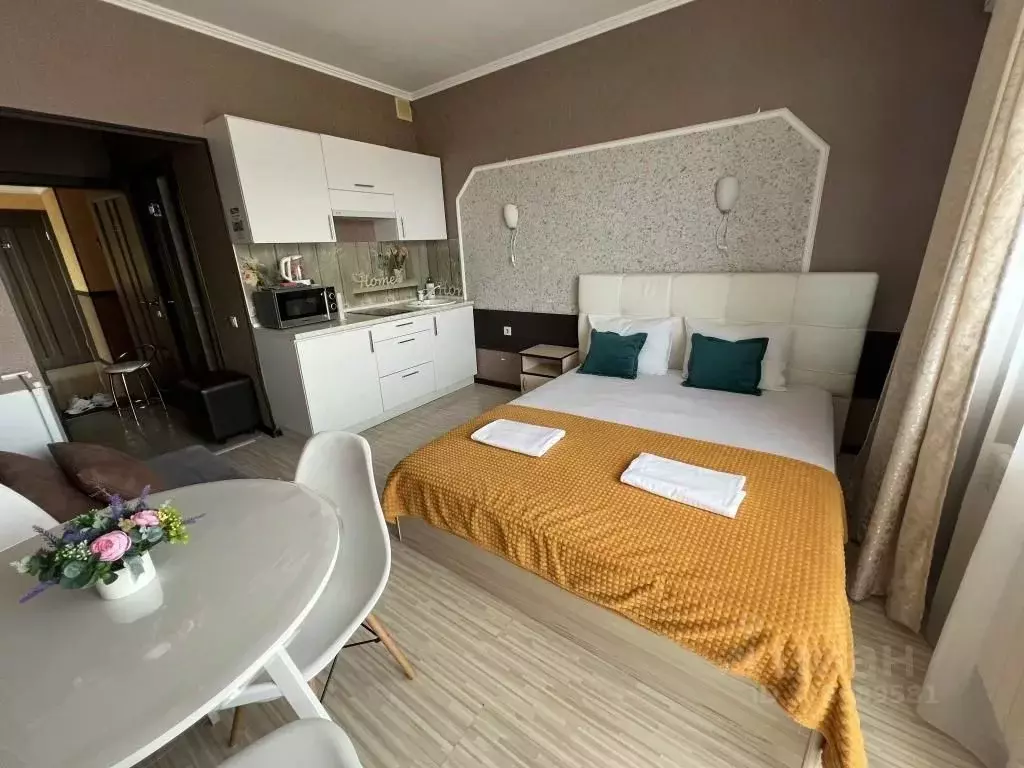 1-к кв. Краснодарский край, Сириус пгт ул. Ружейная, 39 (24.0 м) - Фото 1