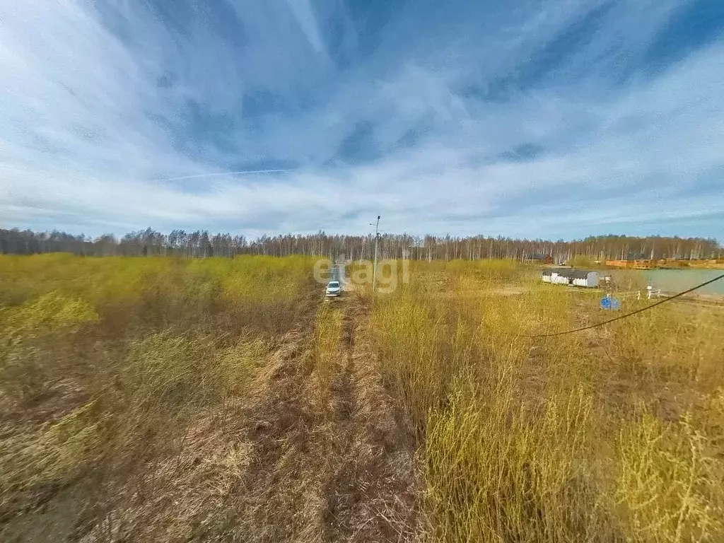 Участок в Тюменская область, Нижнетавдинский муниципальный округ, д. ... - Фото 1