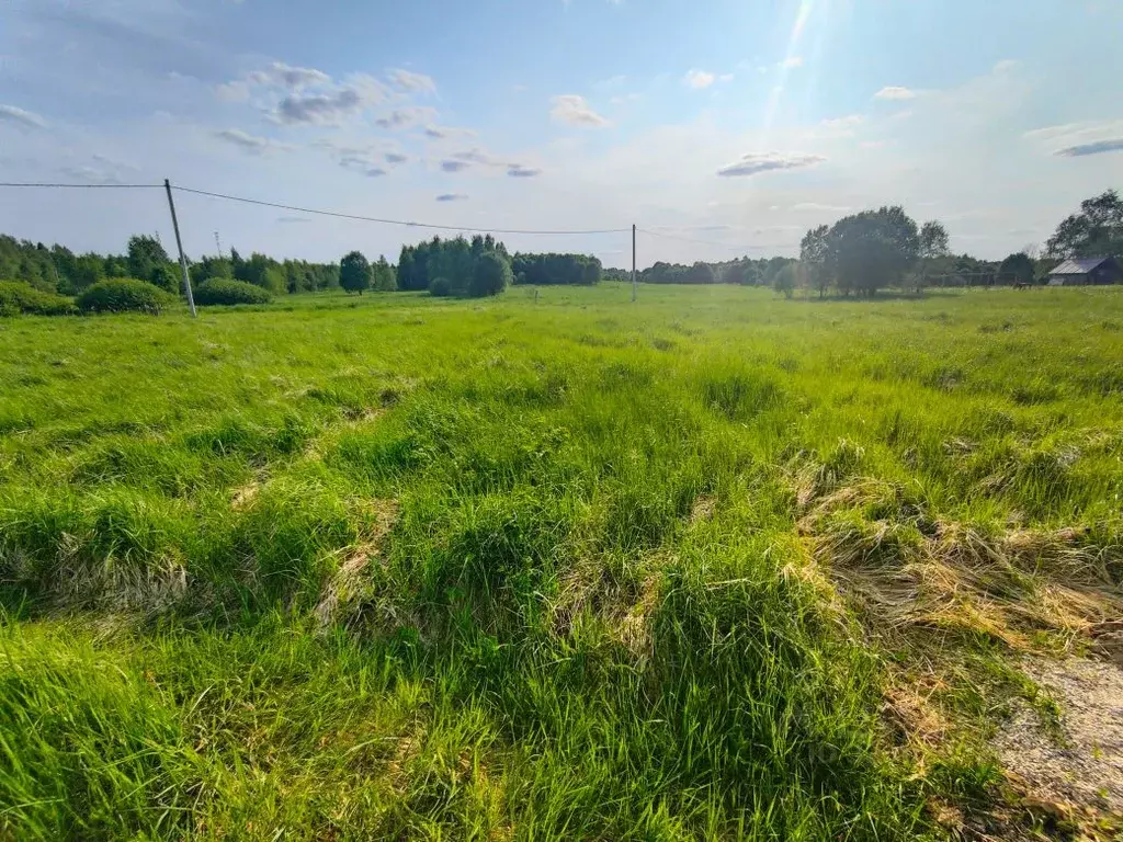Участок в Московская область, Рузский муниципальный округ, д. ... - Фото 2