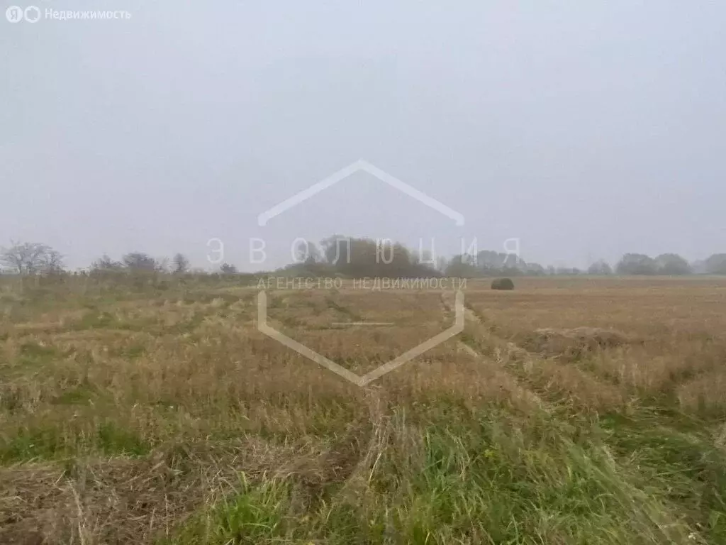 Участок в Калининградская область, Зеленоградский муниципальный округ, ... - Фото 2