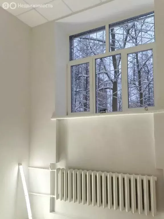 Помещение свободного назначения (18.9 м) - Фото 2