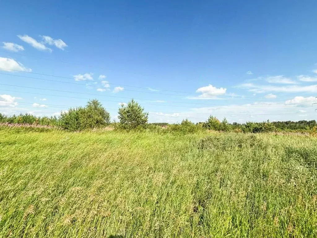 Участок в Иркутская область, Шелеховский район, Баклашинское ... - Фото 1