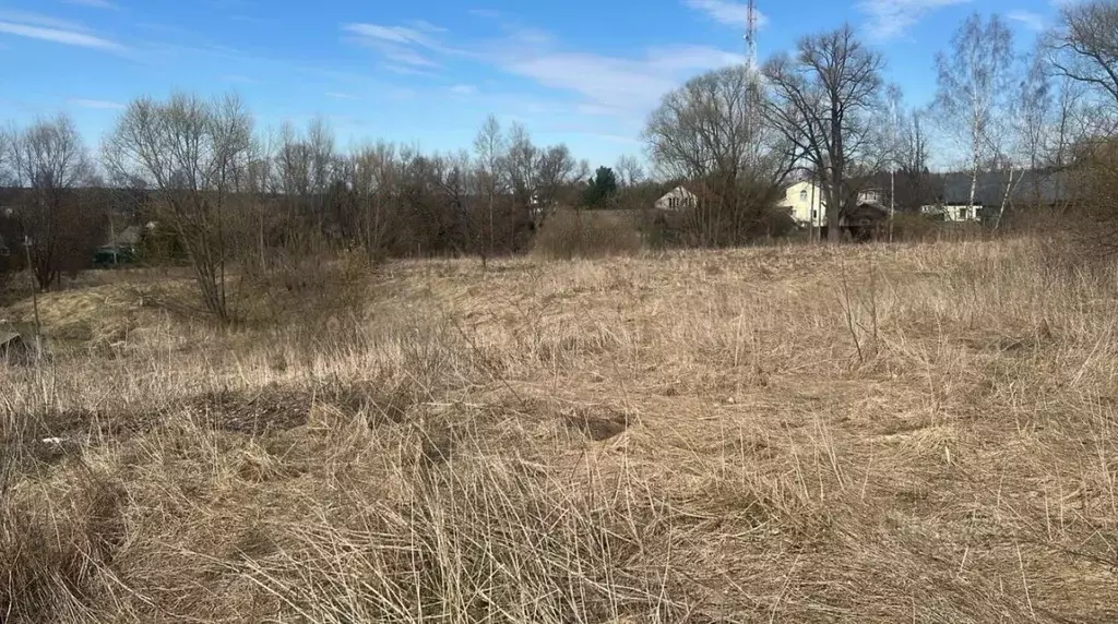 Участок в Московская область, Ступино городской округ, д. Лапино ул. ... - Фото 0