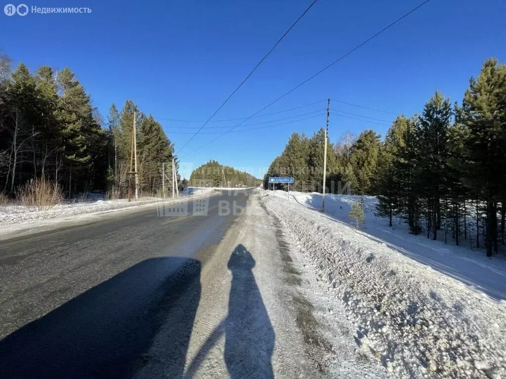 Участок в Свердловская область, Тугулымский муниципальный округ, село ... - Фото 1