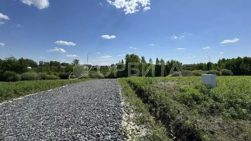 Участок в Тюменская область, Тюменский район, Онегин кп  (10.0 сот.) - Фото 1