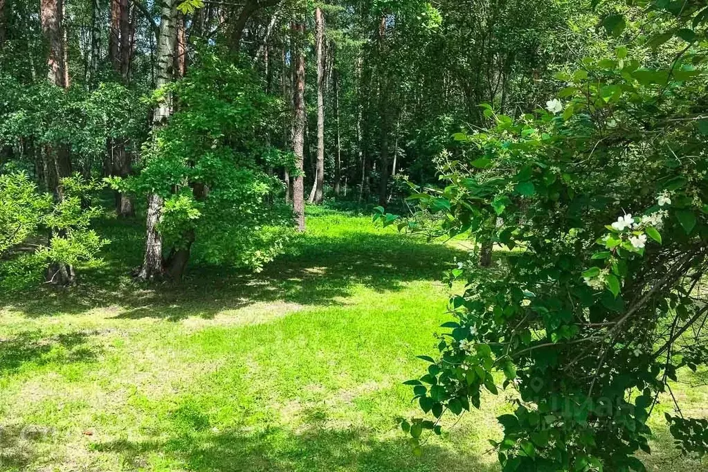Участок в Московская область, Одинцовский городской округ, д. Шульгино ... - Фото 1