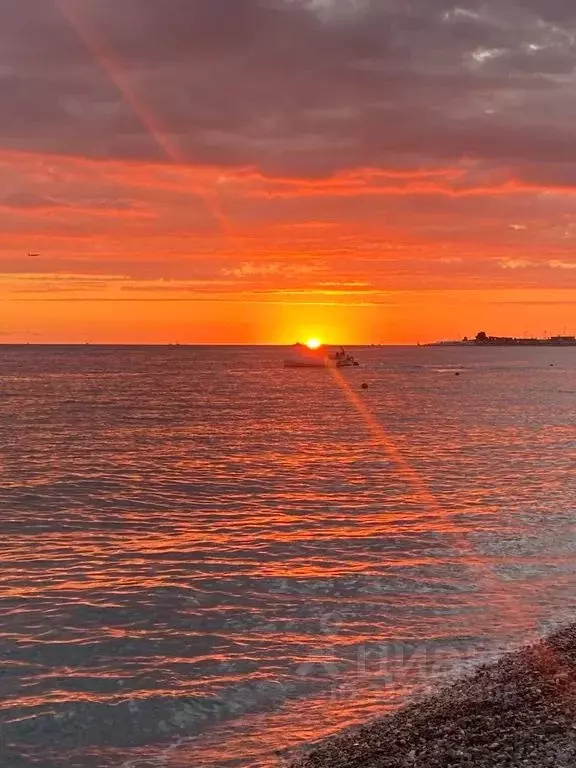 Студия Краснодарский край, Сириус пгт ул. Веселая, 28с1 (19.0 м) - Фото 1
