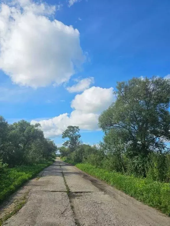 Участок в Хабаровский край, Хабаровский район, с. Некрасовка  (9.0 ... - Фото 1