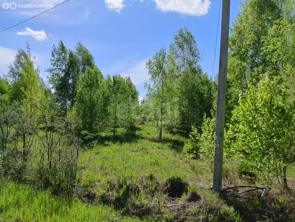 Участок в село Ленинское, СНТ Посёлок Новониколаевский, Лесная улица ... - Фото 0