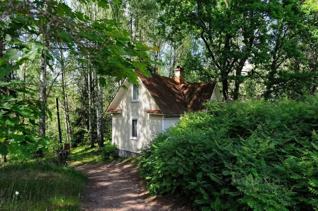 Дом в Ленинградская область, Лужский район, Толмачевское городское ... - Фото 0