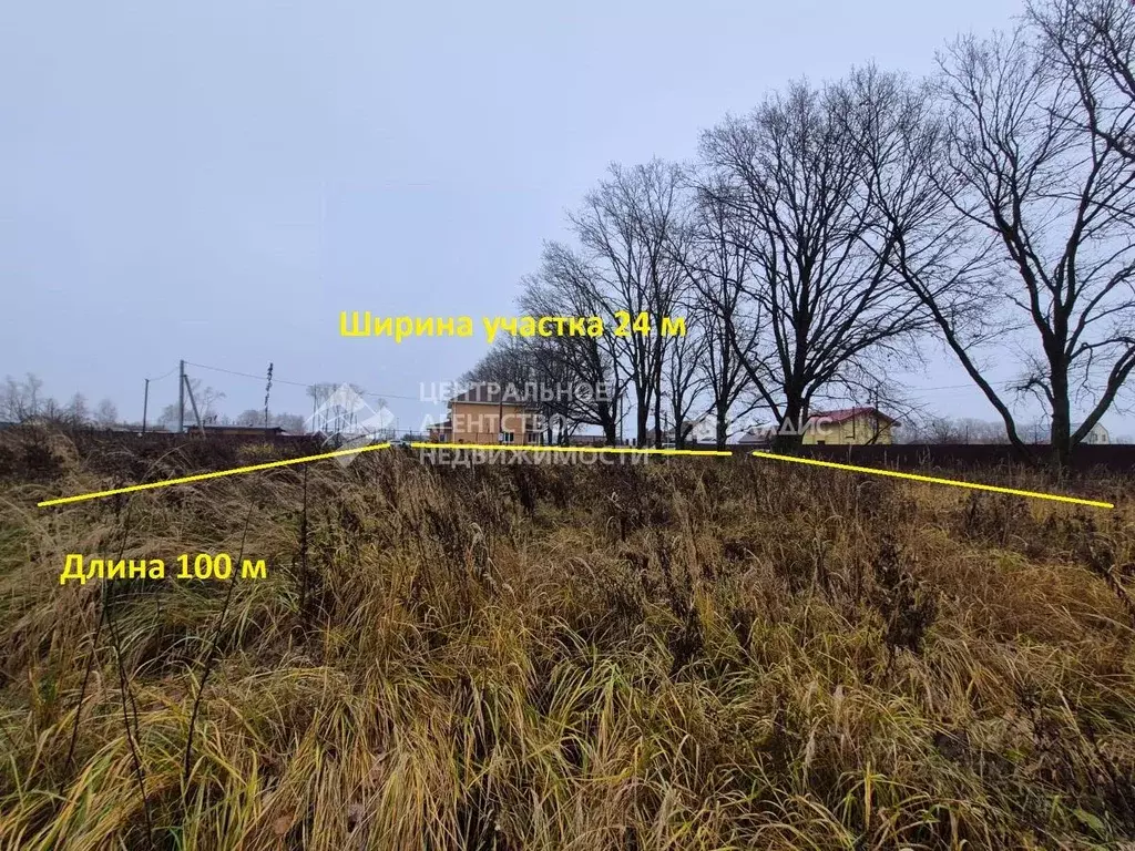 Участок в Рязанская область, Рязанский муниципальный округ, с. ... - Фото 1