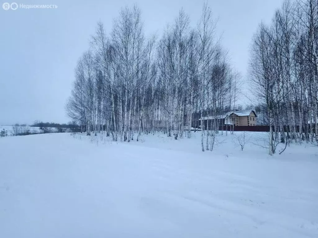 Участок в деревня Русский Кукмор, Зелёная улица (12.61 м) - Фото 1