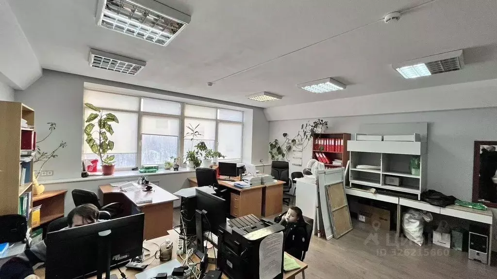 Офис в Свердловская область, Екатеринбург ул. Белинского, 76 (34 м) - Фото 2