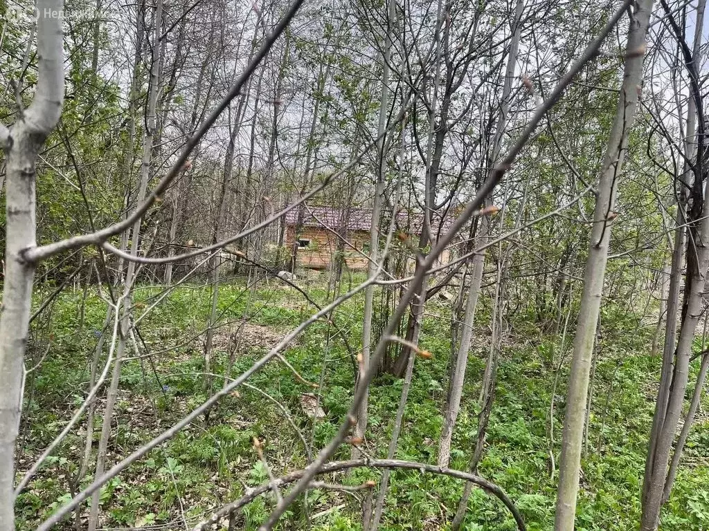 Участок в Томский район, деревня Новомихайловка, Логовая улица (15 м) - Фото 0