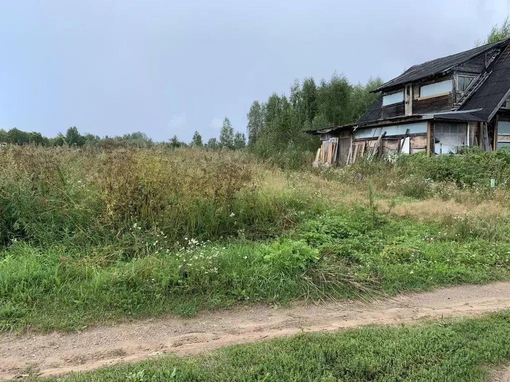 Участок в Тверская область, Осташковский городской округ, д. Свапуще  ... - Фото 1