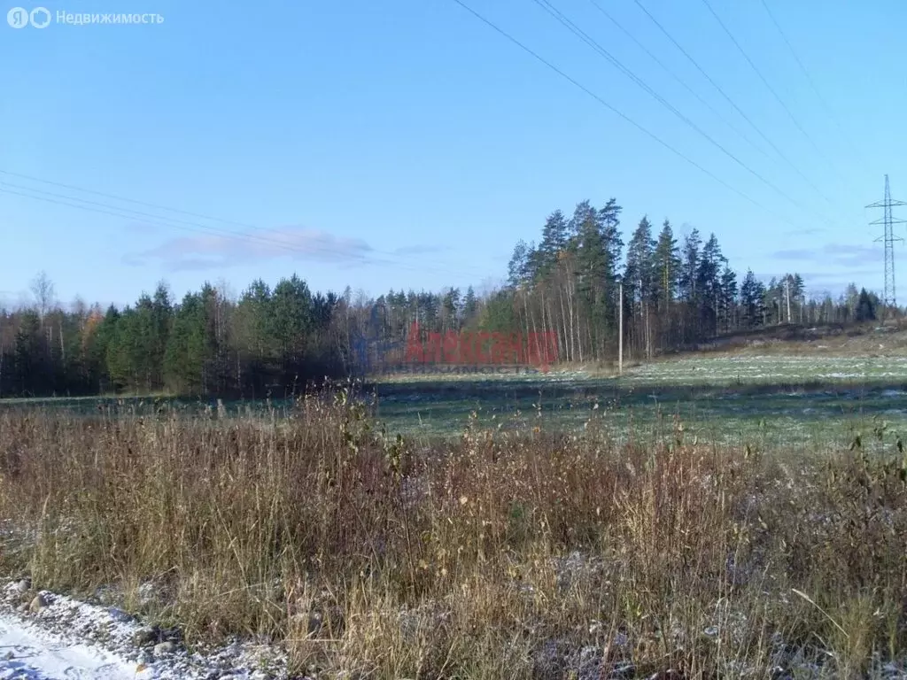 Участок в Выборгский район, Каменногорское городское поселение, ... - Фото 1