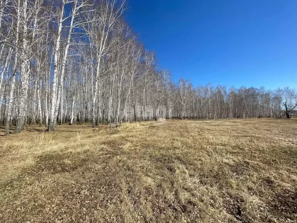 Участок в Курганская область, Кетовский муниципальный округ, д. Лукино ... - Фото 0