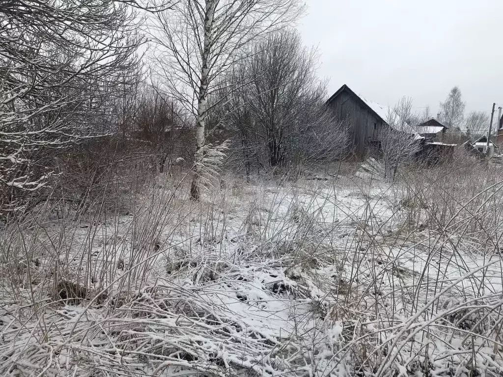 Участок в Нижегородская область, Арзамас городской округ, с. Криуша ... - Фото 1