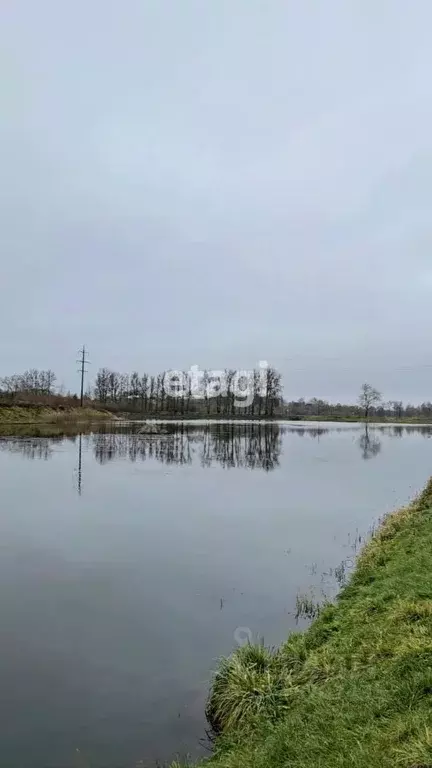 Участок в Ленинградская область, Ломоносовский район, д. Низино 55 ... - Фото 1