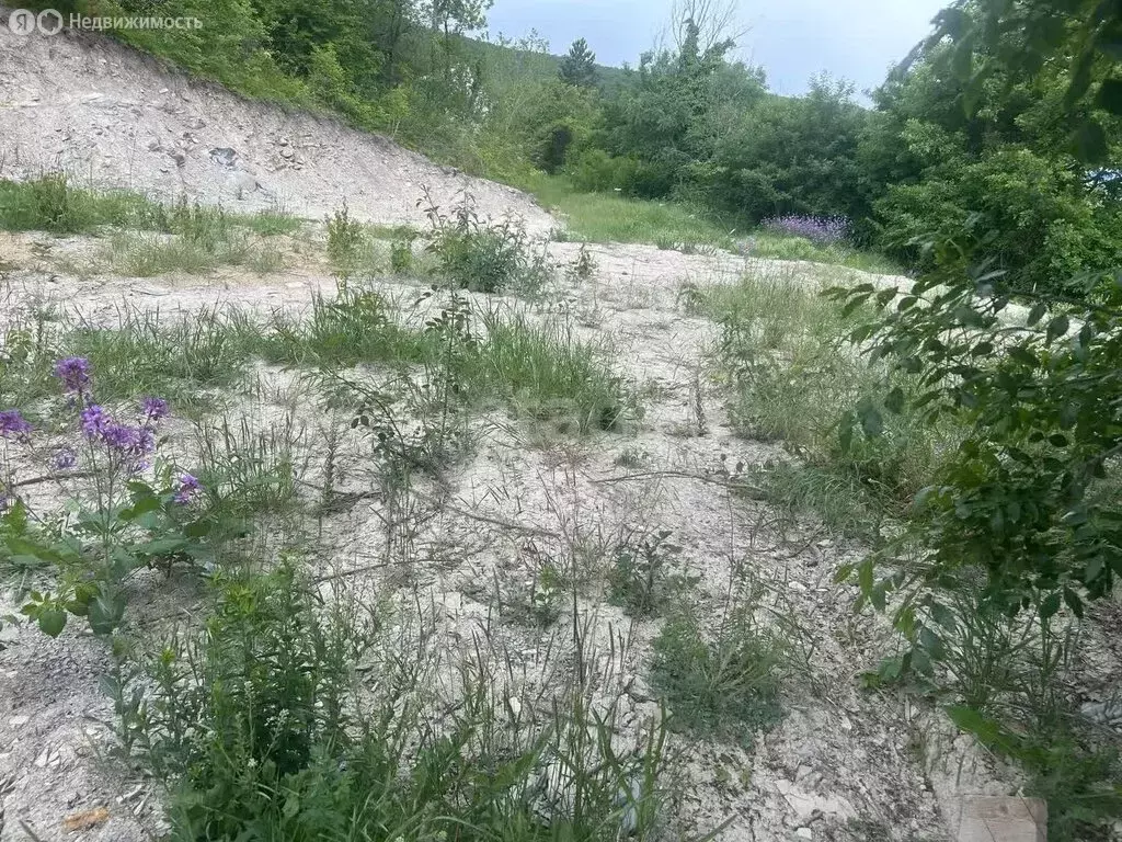 Участок в Краснодарский край, городской округ Новороссийск, село ... - Фото 1