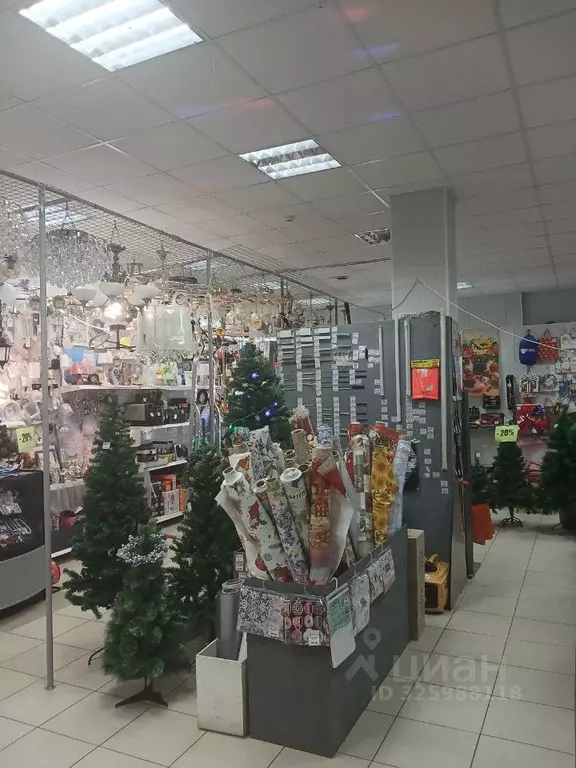 Торговая площадь в Брянская область, Брянск ул. 2-я Мичурина, 42А (121 ... - Фото 2