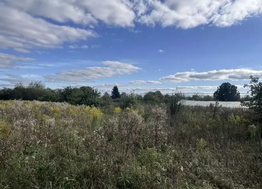 Участок в Новгородская область, Новгородский район, Бронницкое с/пос, ... - Фото 2