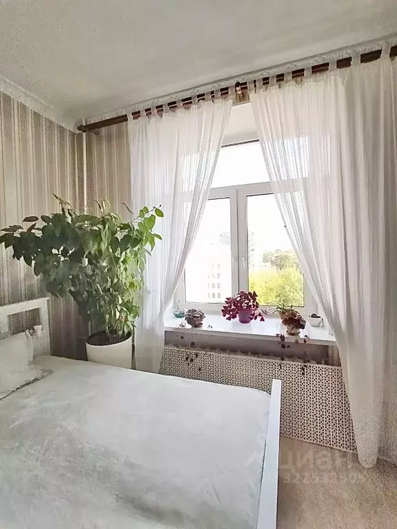 Комната Санкт-Петербург Лиговский просп., 237 (21.5 м) - Фото 1