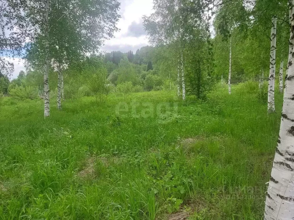 Участок в Кемеровская область, Новокузнецкий муниципальный округ, ... - Фото 0